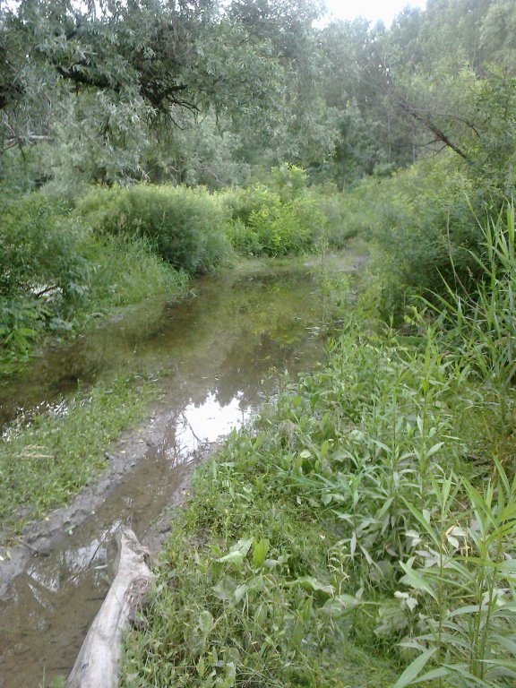 Натиснете снимката за да я уголемите
Име:06062012011.jpg
Прегледи:2
Размер:143.1 КБ
ID:5998332