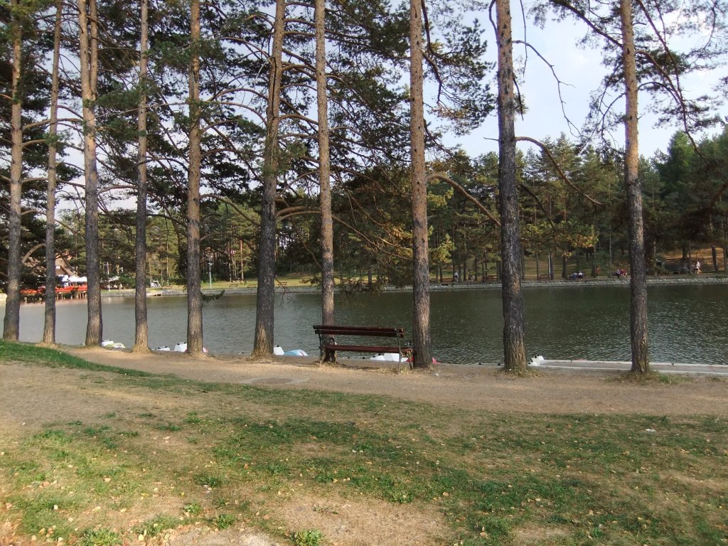 Натиснете снимката за да я уголемите
Име:DSCF5294.jpg
Прегледи:1
Размер:274.0 КБ
ID:6015777