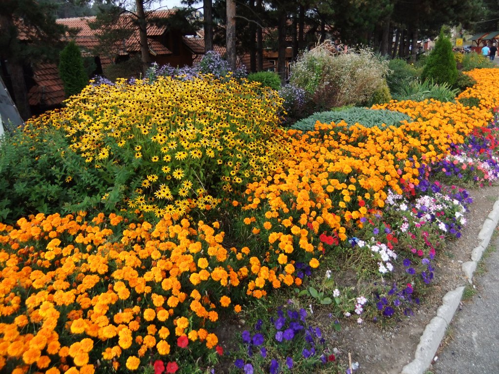 Натиснете снимката за да я уголемите
Име:DSCF5298.jpg
Прегледи:1
Размер:312.6 КБ
ID:6015778