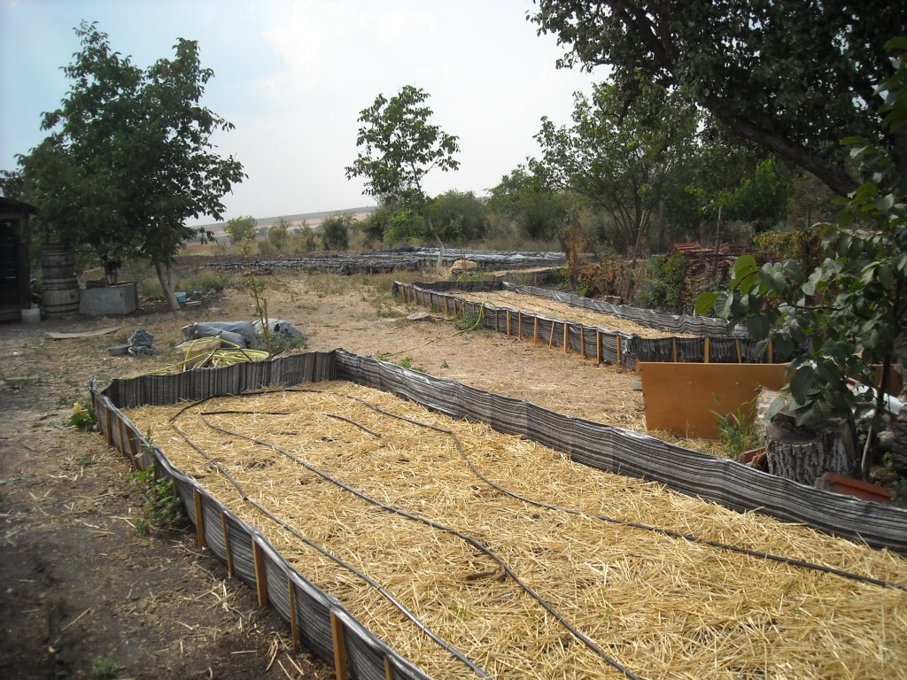 Натиснете снимката за да я уголемите
Име:DSCN0182.jpg
Прегледи:1
Размер:249.9 КБ
ID:6024119