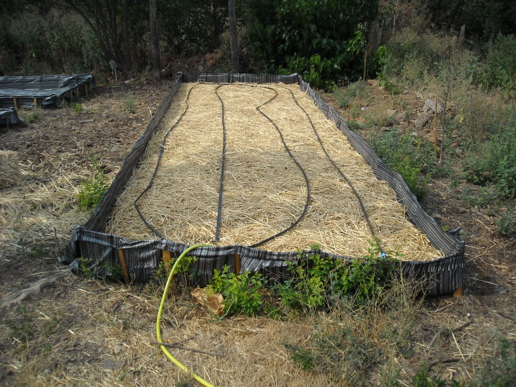 Натиснете снимката за да я уголемите
Име:DSCN0183.jpg
Прегледи:1
Размер:278.9 КБ
ID:6024120