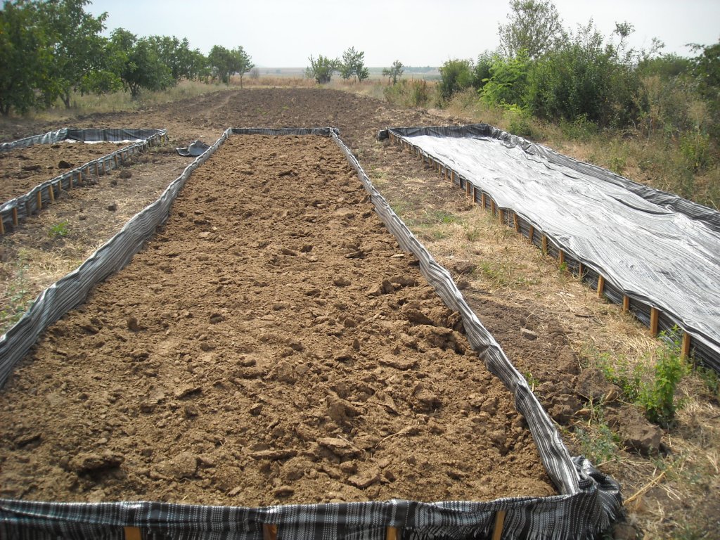 Натиснете снимката за да я уголемите
Име:DSCN0184.jpg
Прегледи:1
Размер:280.1 КБ
ID:6024121