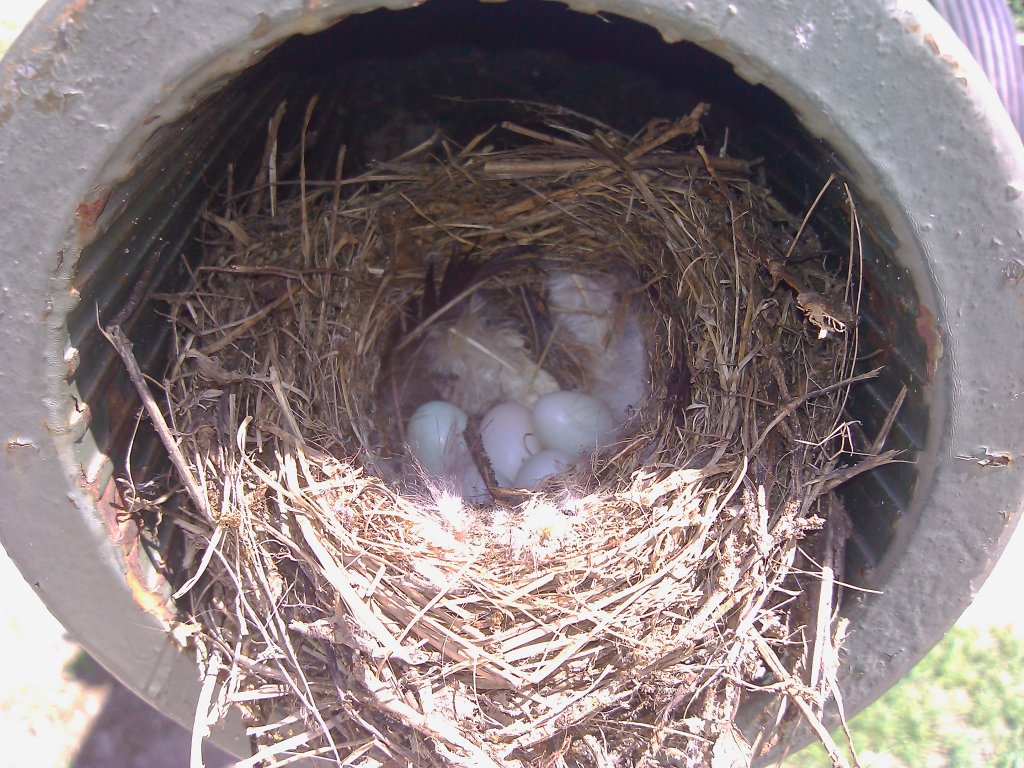 Натиснете снимката за да я уголемите
Име:2013-06-21 14.15.18.jpg
Прегледи:1
Размер:215.0 КБ
ID:6024150