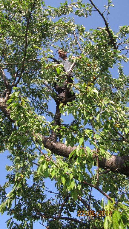 Натиснете снимката за да я уголемите
Име:IMG_2681.jpg
Прегледи:1
Размер:154.6 КБ
ID:6024168