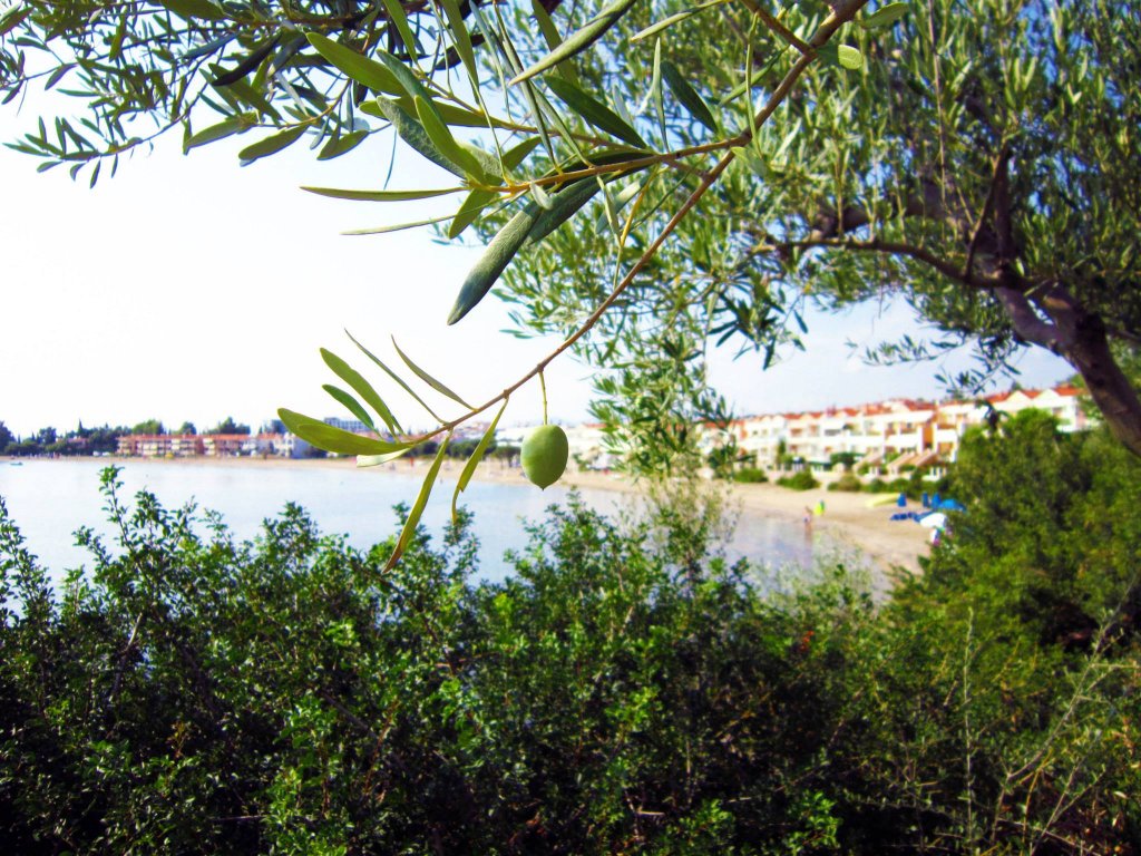 Натиснете снимката за да я уголемите
Име:1239256_10151523828341307_116247827_o.jpg
Прегледи:1
Размер:229.2 КБ
ID:6024794