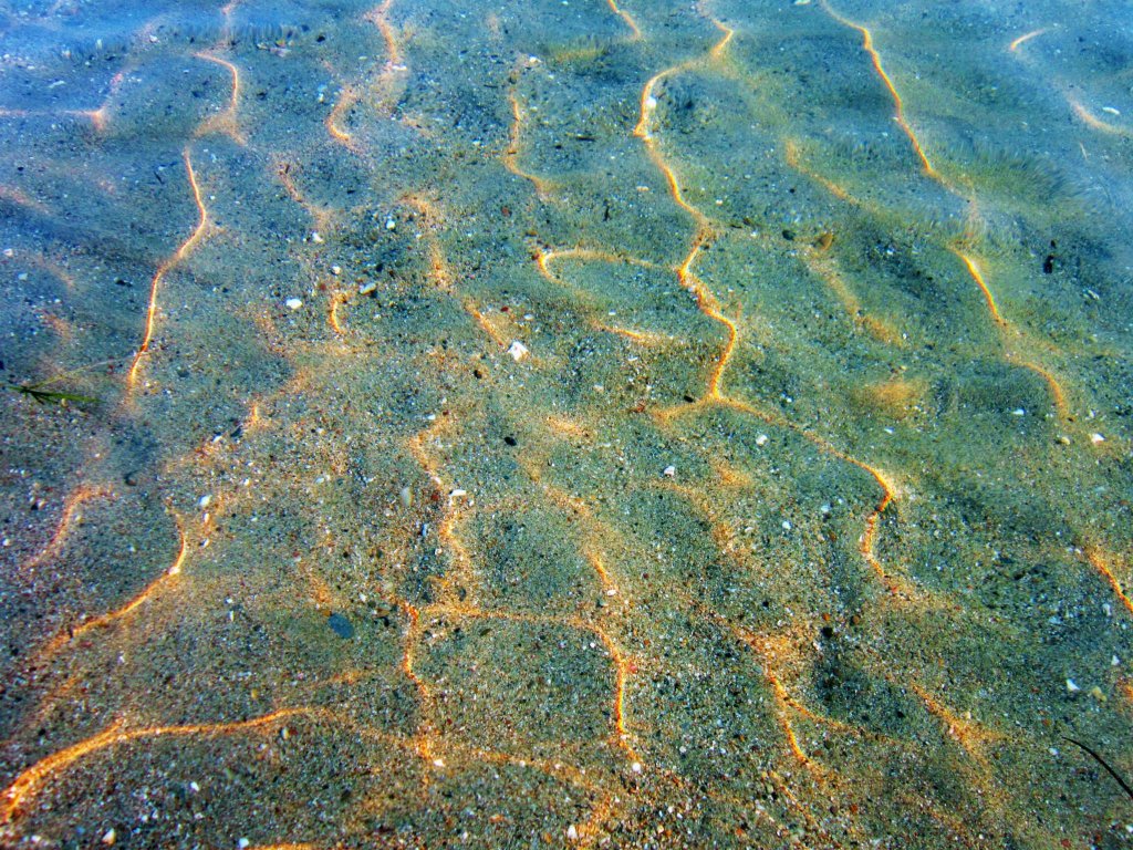 Натиснете снимката за да я уголемите
Име:856495_10151523866756307_86331321_o.jpg
Прегледи:1
Размер:303.5 КБ
ID:6024795