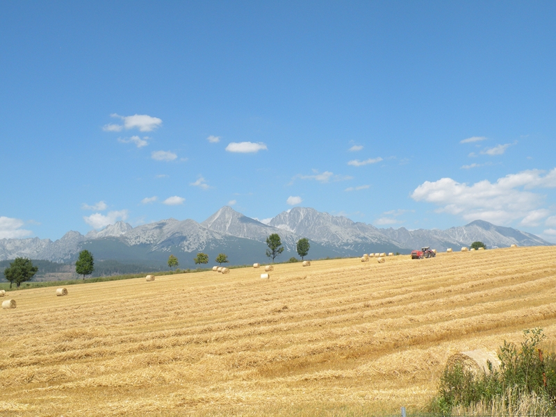 Натиснете снимката за да я уголемите
Име:DSCN8273.JPG
Прегледи:2
Размер:383.0 КБ
ID:6030846