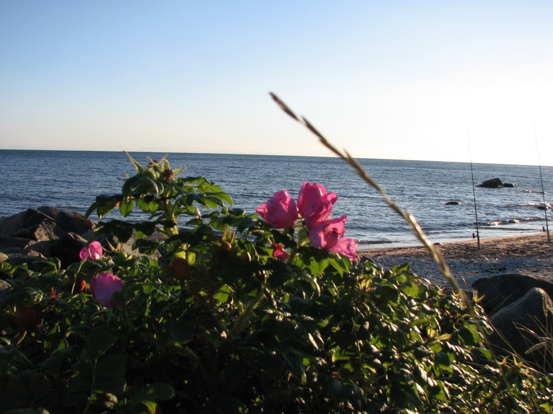 Натиснете снимката за да я уголемите
Име:IMG_1146.JPG
Прегледи:2
Размер:373.7 КБ
ID:6030896