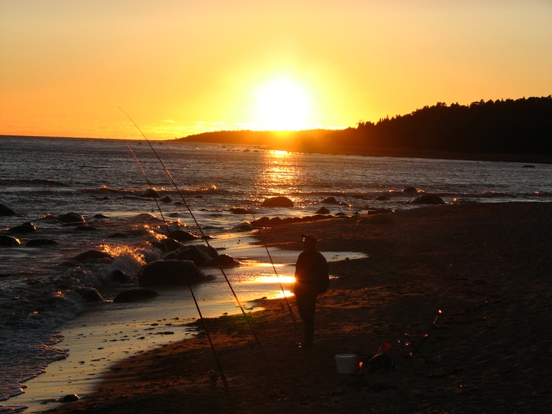 Натиснете снимката за да я уголемите
Име:IMG_1159.JPG
Прегледи:2
Размер:357.1 КБ
ID:6030897