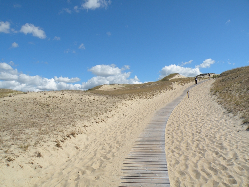 Натиснете снимката за да я уголемите
Име:DSCN9401.JPG
Прегледи:2
Размер:384.3 КБ
ID:6030902