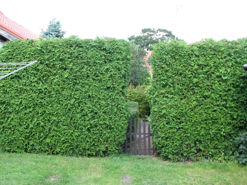 Натиснете снимката за да я уголемите
Име:IMG_1233.JPG
Прегледи:2
Размер:550.0 КБ
ID:6030911