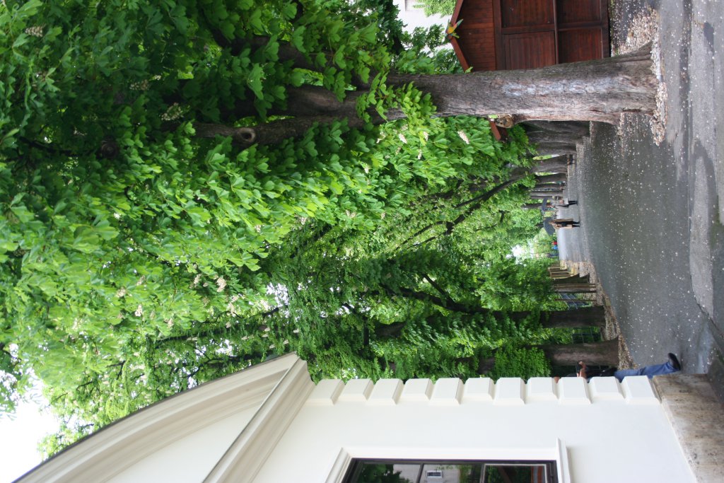 Натиснете снимката за да я уголемите
Име:IMG_9736.jpg
Прегледи:1
Размер:193.4 КБ
ID:6055427