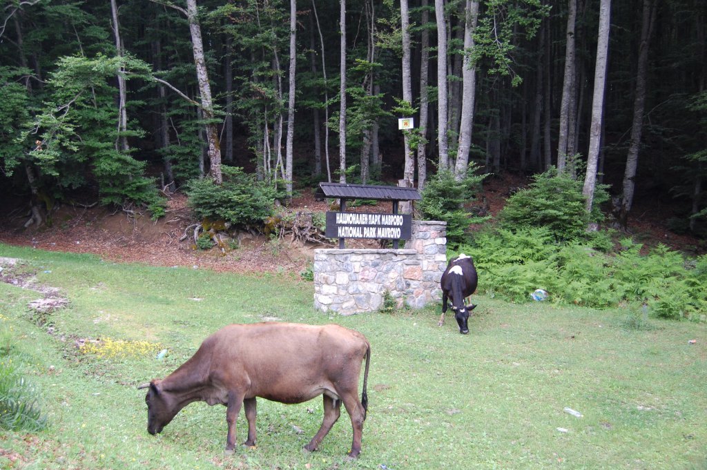 Натиснете снимката за да я уголемите
Име:DSC_0014.jpg
Прегледи:1
Размер:210.7 КБ
ID:6098223