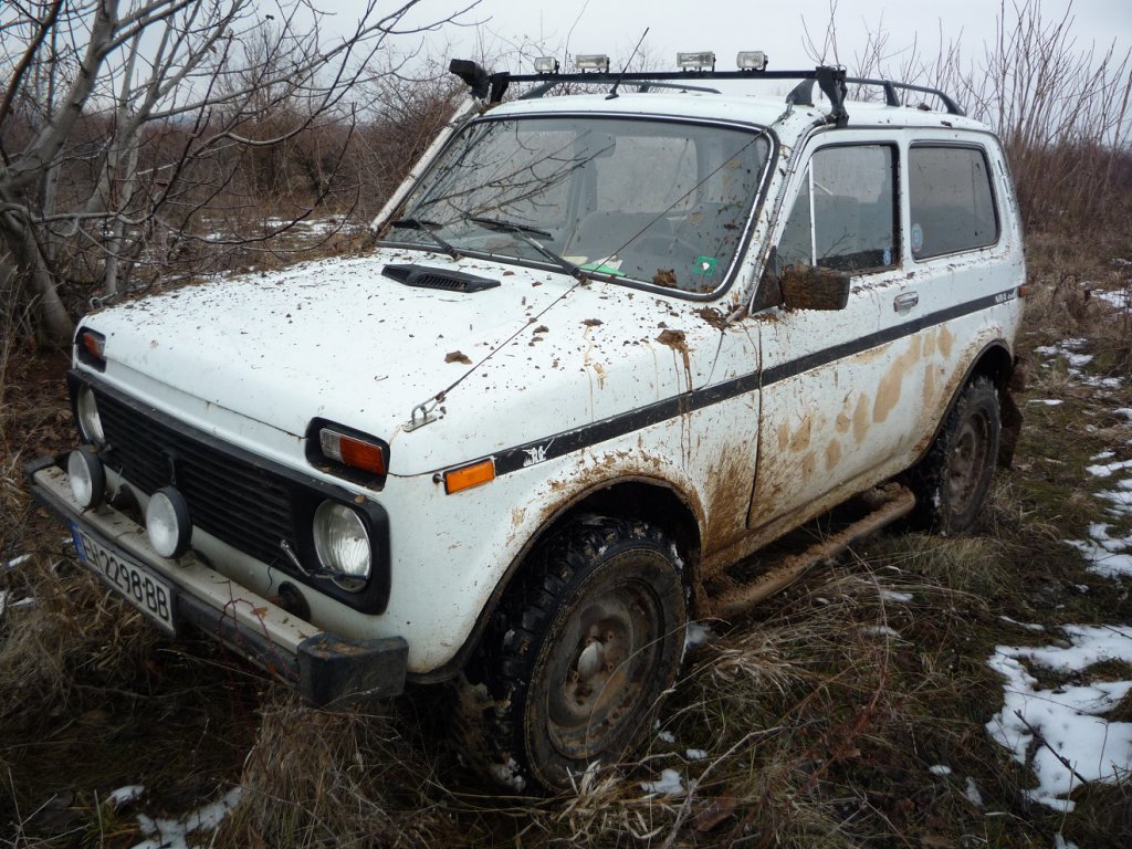 Тлпх нива петелино