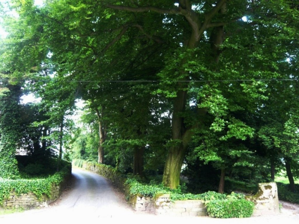 Натиснете снимката за да я уголемите
Име:026840522-big.jpg
Прегледи:1
Размер:179.2 КБ
ID:5968369