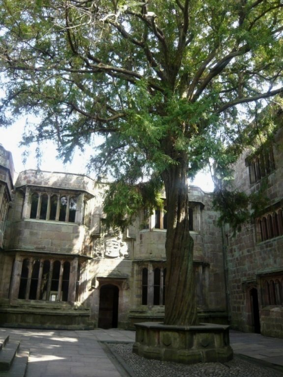 Натиснете снимката за да я уголемите
Име:026840532-big.jpg
Прегледи:1
Размер:119.7 КБ
ID:5968372