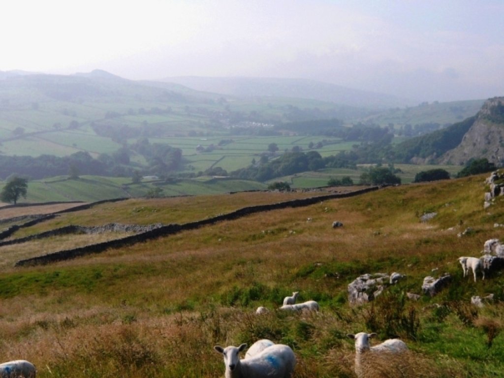 Натиснете снимката за да я уголемите
Име:026840592-big.jpg
Прегледи:1
Размер:108.9 КБ
ID:5968380