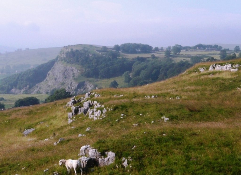 Натиснете снимката за да я уголемите
Име:026840596-big.jpg
Прегледи:1
Размер:111.7 КБ
ID:5968381