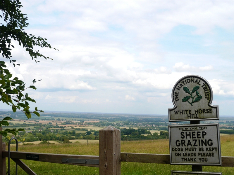 Натиснете снимката за да я уголемите
Име:1 (1).JPG
Прегледи:1
Размер:295.8 КБ
ID:5981969
