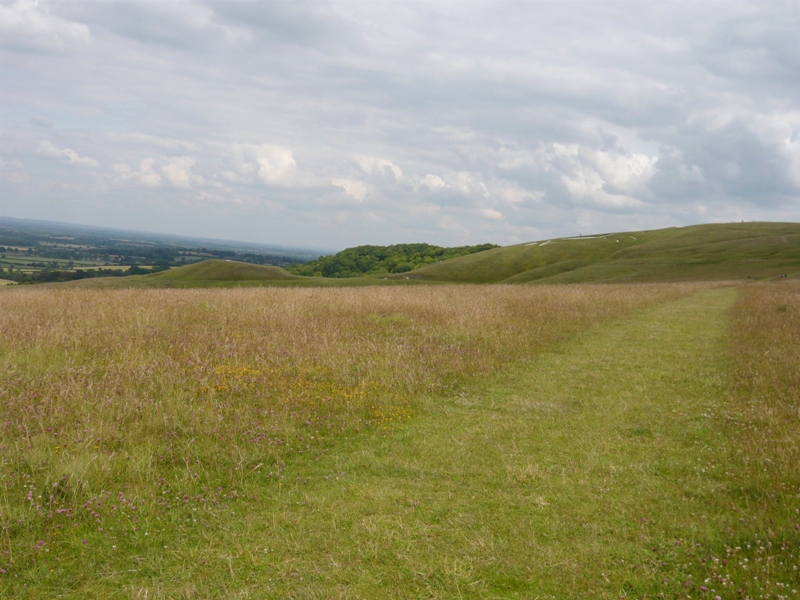 Натиснете снимката за да я уголемите
Име:1 (4).JPG
Прегледи:1
Размер:255.9 КБ
ID:5981972
