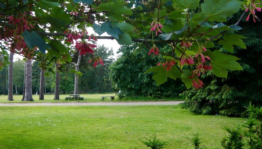 Натиснете снимката за да я уголемите
Име:1.JPG
Прегледи:1
Размер:326.4 КБ
ID:6001712