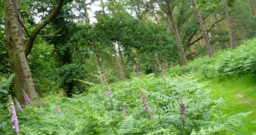 Натиснете снимката за да я уголемите
Име:1 (4).JPG
Прегледи:1
Размер:249.2 КБ
ID:6001713