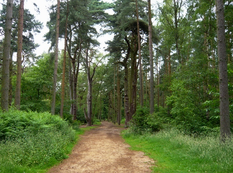 Натиснете снимката за да я уголемите
Име:1 (1).JPG
Прегледи:1
Размер:276.4 КБ
ID:6001714