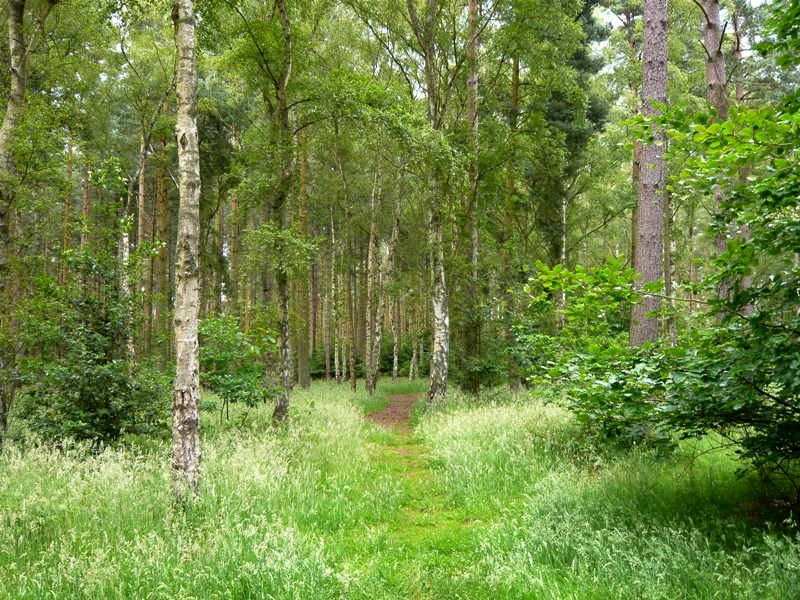 Натиснете снимката за да я уголемите
Име:1 (2).JPG
Прегледи:1
Размер:266.2 КБ
ID:6001715
