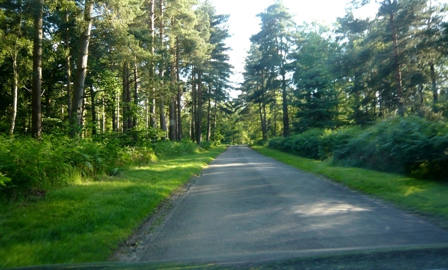 Натиснете снимката за да я уголемите
Име:1 (13).JPG
Прегледи:1
Размер:299.2 КБ
ID:6001726