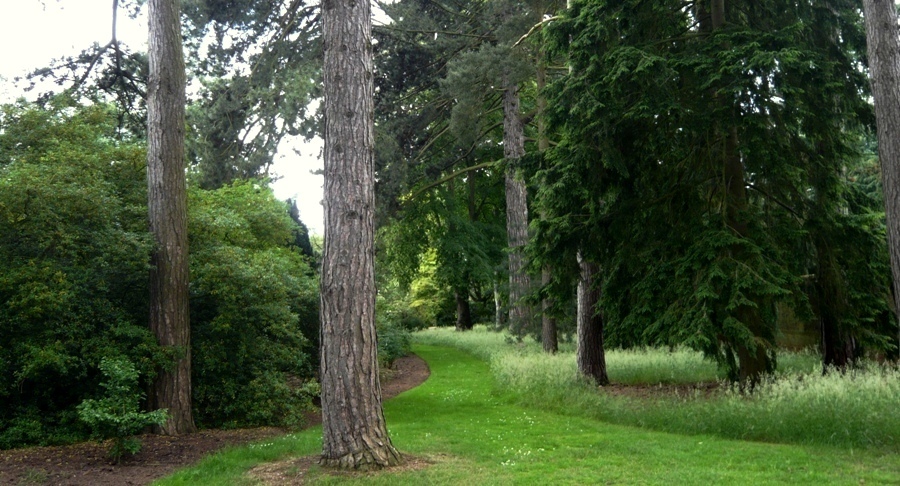 Натиснете снимката за да я уголемите
Име:1 (17).JPG
Прегледи:1
Размер:259.7 КБ
ID:6001730