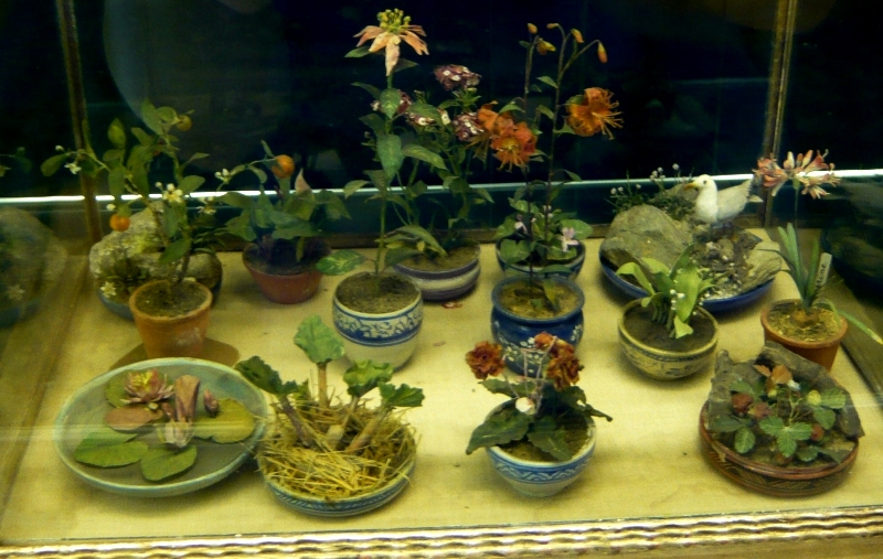 Натиснете снимката за да я уголемите
Име:1 (162).JPG
Прегледи:1
Размер:304.3 КБ
ID:6001827