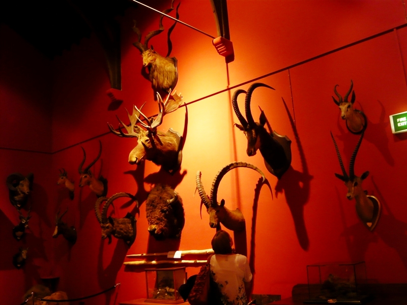 Натиснете снимката за да я уголемите
Име:1 (193).JPG
Прегледи:1
Размер:250.8 КБ
ID:6001858