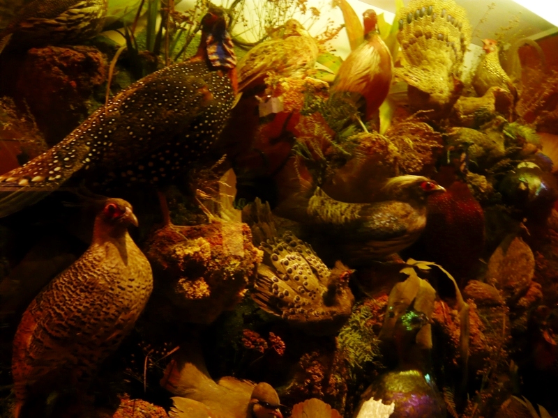 Натиснете снимката за да я уголемите
Име:1 (195).JPG
Прегледи:1
Размер:347.9 КБ
ID:6001860