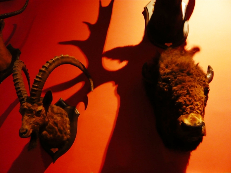 Натиснете снимката за да я уголемите
Име:1 (196).JPG
Прегледи:1
Размер:236.6 КБ
ID:6001861