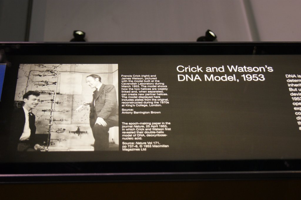 Натиснете снимката за да я уголемите
Име:DSC04935.jpg
Прегледи:1
Размер:81.9 КБ
ID:6009573