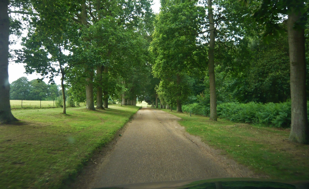 Натиснете снимката за да я уголемите
Име:1 (1).jpg
Прегледи:1
Размер:497.4 КБ
ID:6023170