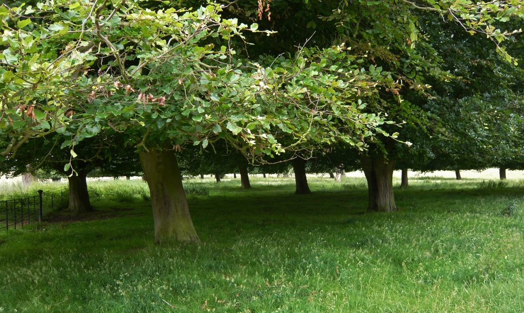 Натиснете снимката за да я уголемите
Име:1 (3).jpg
Прегледи:1
Размер:597.6 КБ
ID:6023172