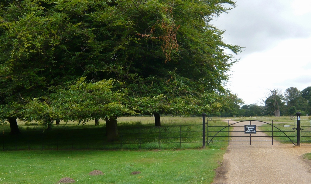 Натиснете снимката за да я уголемите
Име:1 (4).jpg
Прегледи:1
Размер:428.8 КБ
ID:6023173