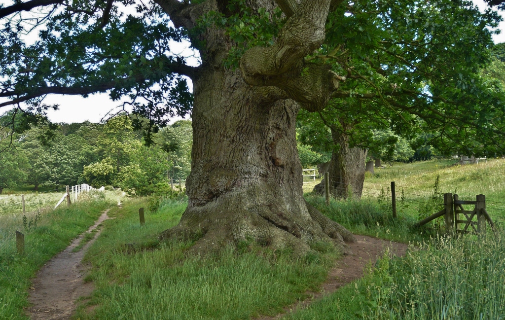 Натиснете снимката за да я уголемите
Име:1 (11).jpg
Прегледи:1
Размер:618.2 КБ
ID:6023180