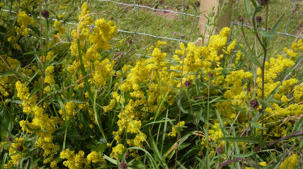 Натиснете снимката за да я уголемите
Име:1 (12).jpg
Прегледи:1
Размер:597.0 КБ
ID:6023181