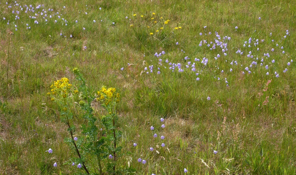Натиснете снимката за да я уголемите
Име:1 (14).jpg
Прегледи:1
Размер:614.5 КБ
ID:6023183