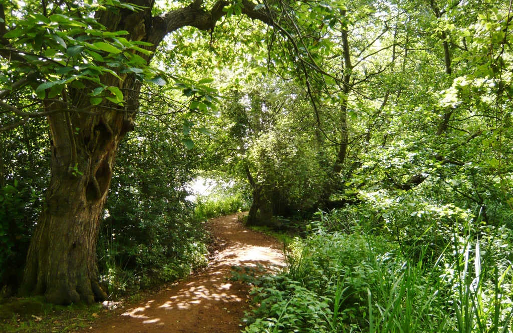 Натиснете снимката за да я уголемите
Име:1 (15).jpg
Прегледи:1
Размер:729.5 КБ
ID:6023184