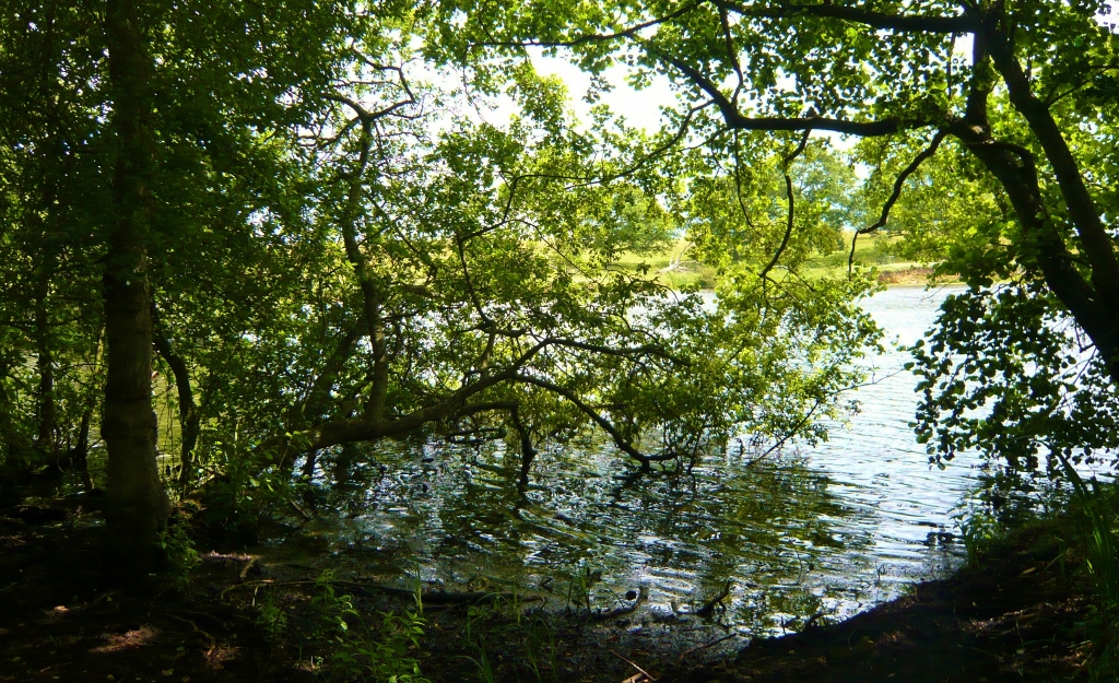 Натиснете снимката за да я уголемите
Име:1 (16).jpg
Прегледи:1
Размер:685.8 КБ
ID:6023185