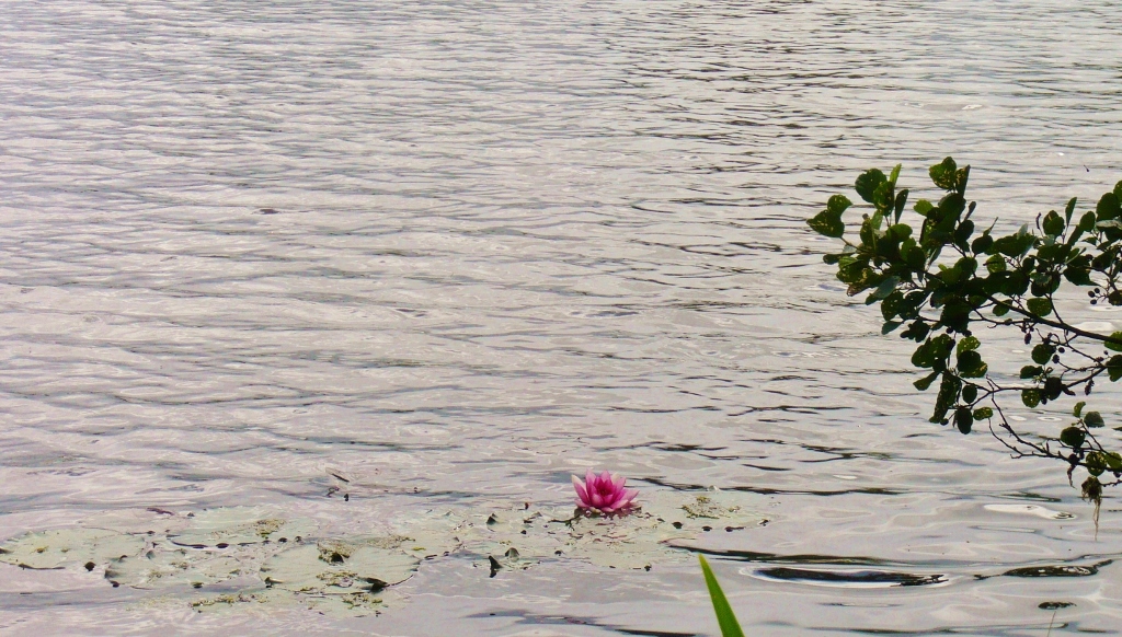 Натиснете снимката за да я уголемите
Име:1 (17).jpg
Прегледи:1
Размер:451.1 КБ
ID:6023186