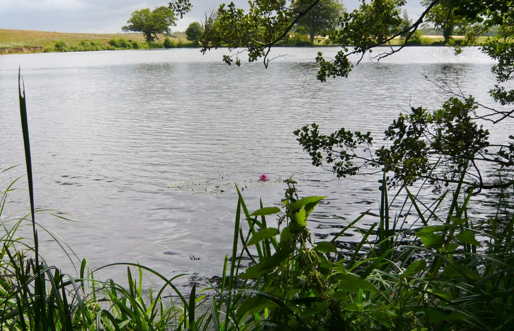 Натиснете снимката за да я уголемите
Име:1 (18).jpg
Прегледи:1
Размер:564.5 КБ
ID:6023187