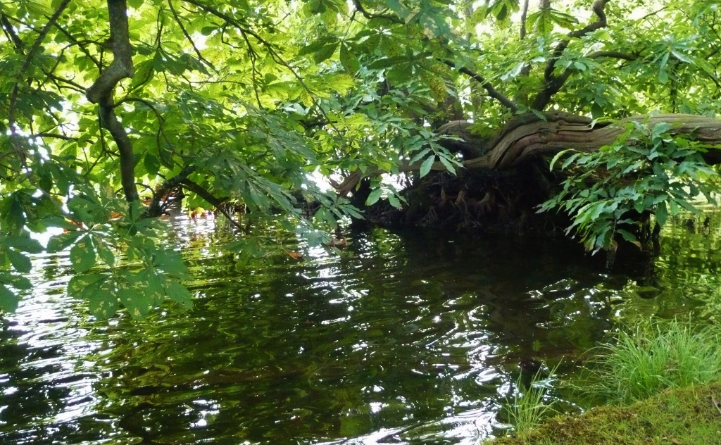 Натиснете снимката за да я уголемите
Име:1 (19).jpg
Прегледи:1
Размер:573.5 КБ
ID:6023188