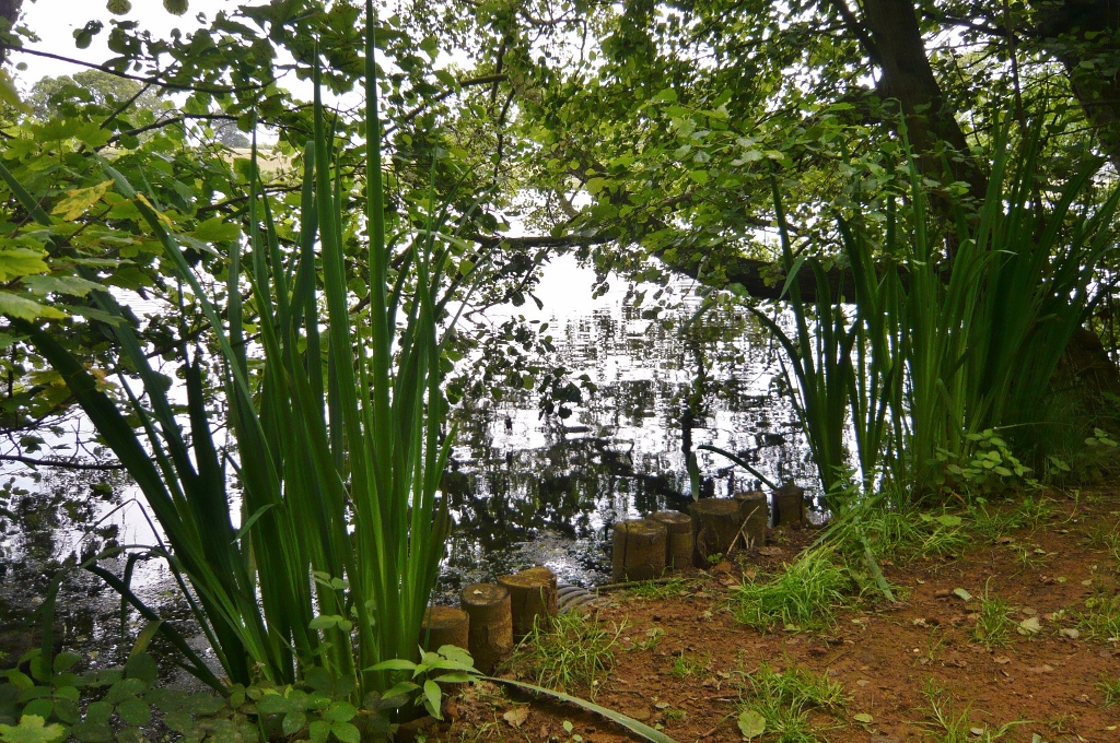 Натиснете снимката за да я уголемите
Име:1 (20).jpg
Прегледи:1
Размер:690.0 КБ
ID:6023189