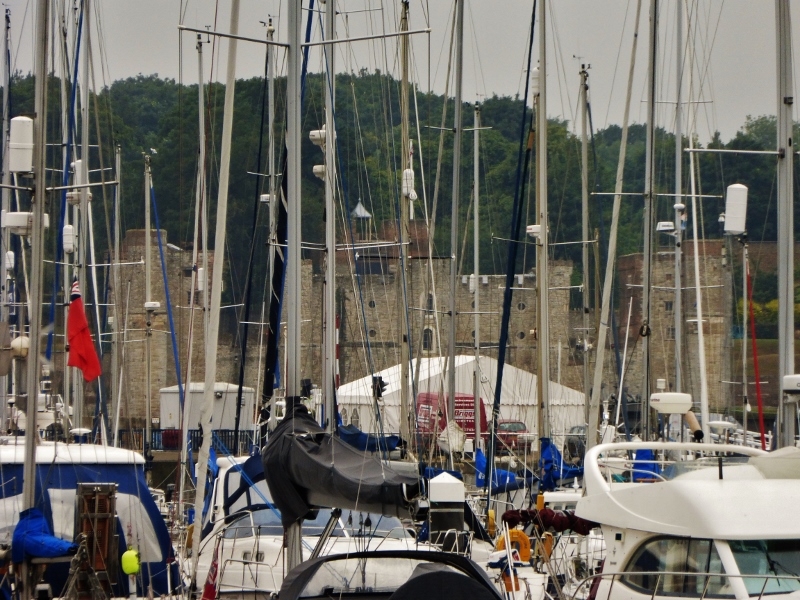 Натиснете снимката за да я уголемите
Име:1 (42).jpg
Прегледи:1
Размер:374.8 КБ
ID:6063840