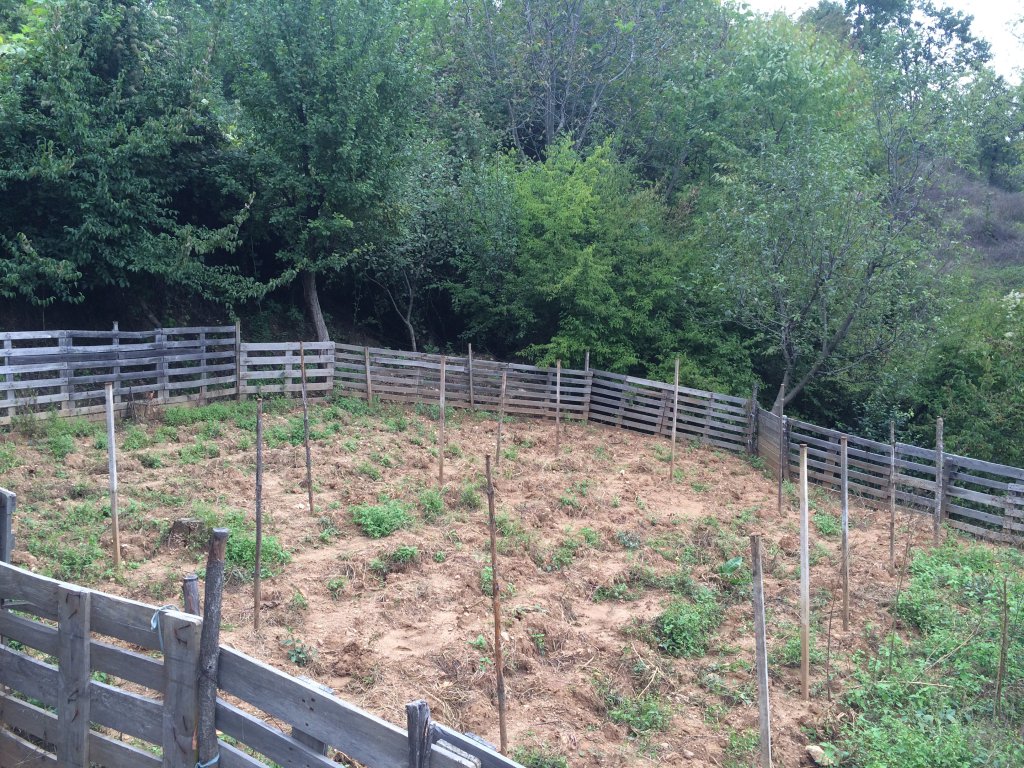 Натиснете снимката за да я уголемите
Име:IMG_2039 - Copy.jpg
Прегледи:1
Размер:296.6 КБ
ID:6103210