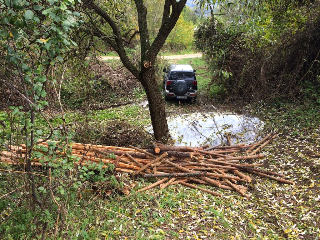 Натиснете снимката за да я уголемите
Име:IMG_2828.jpg
Прегледи:1
Размер:366.8 КБ
ID:6103211